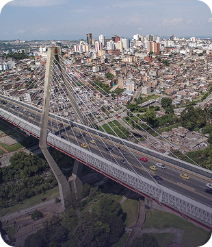 Pereira Pereira